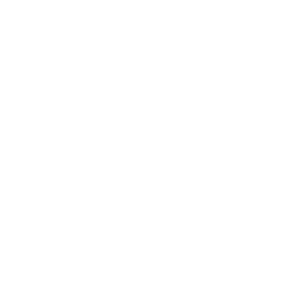 RONEYS-CAR-300x300-1.png