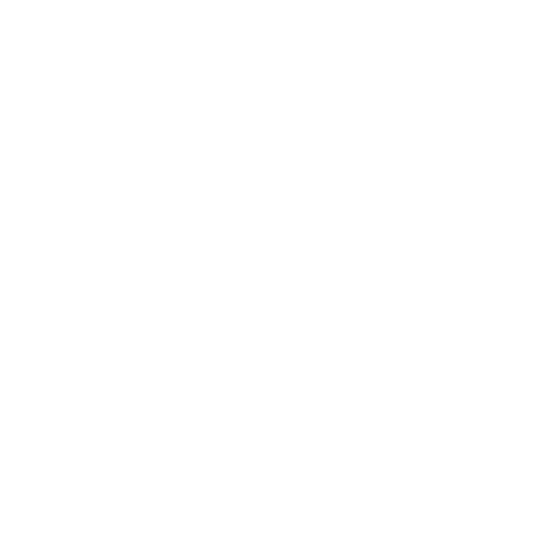 RONEYS-CAR.png